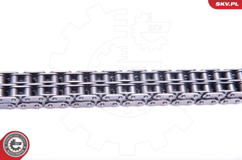 Ланцюг ГРМ, комплект SKV 21SKV129 ціна, від 120.44 USD