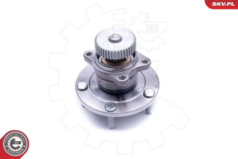  SKV 29SKV232 ціна, від 55.11 USD