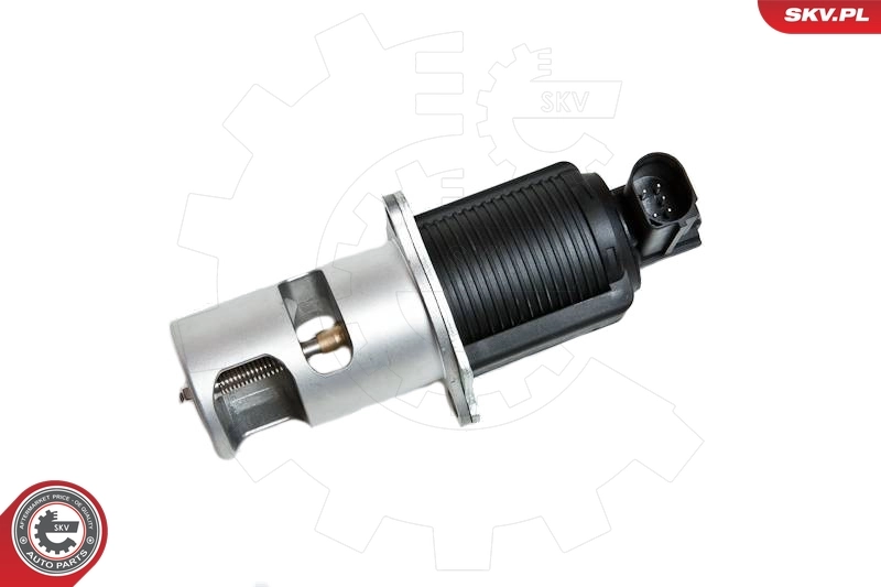 Клапан ЄГР 14SKV032 SKV
