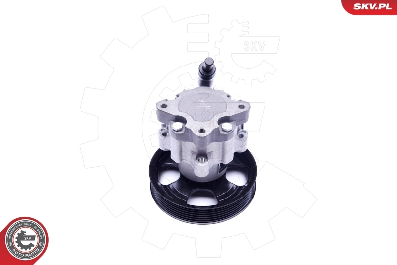 Купити 10SKV241 SKV Насос гідравліки