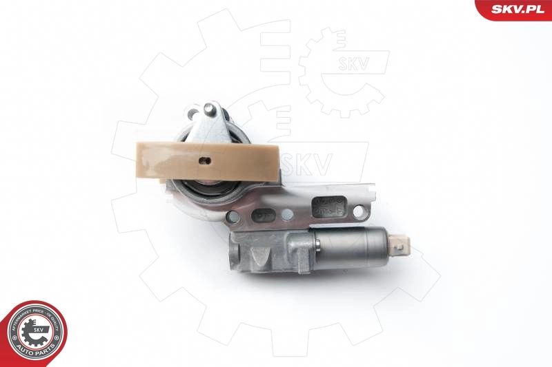 21SKV061 SKV Регулятор фаз газорозподілу