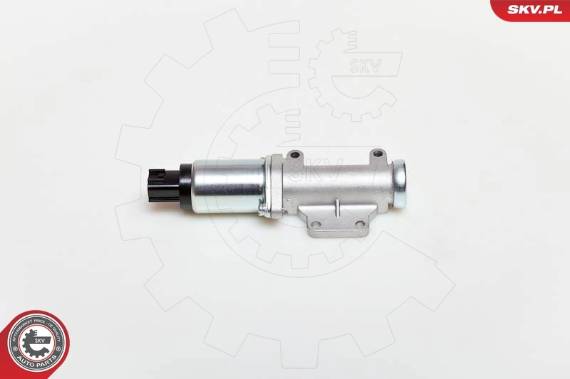 08SKV218 SKV РХХ