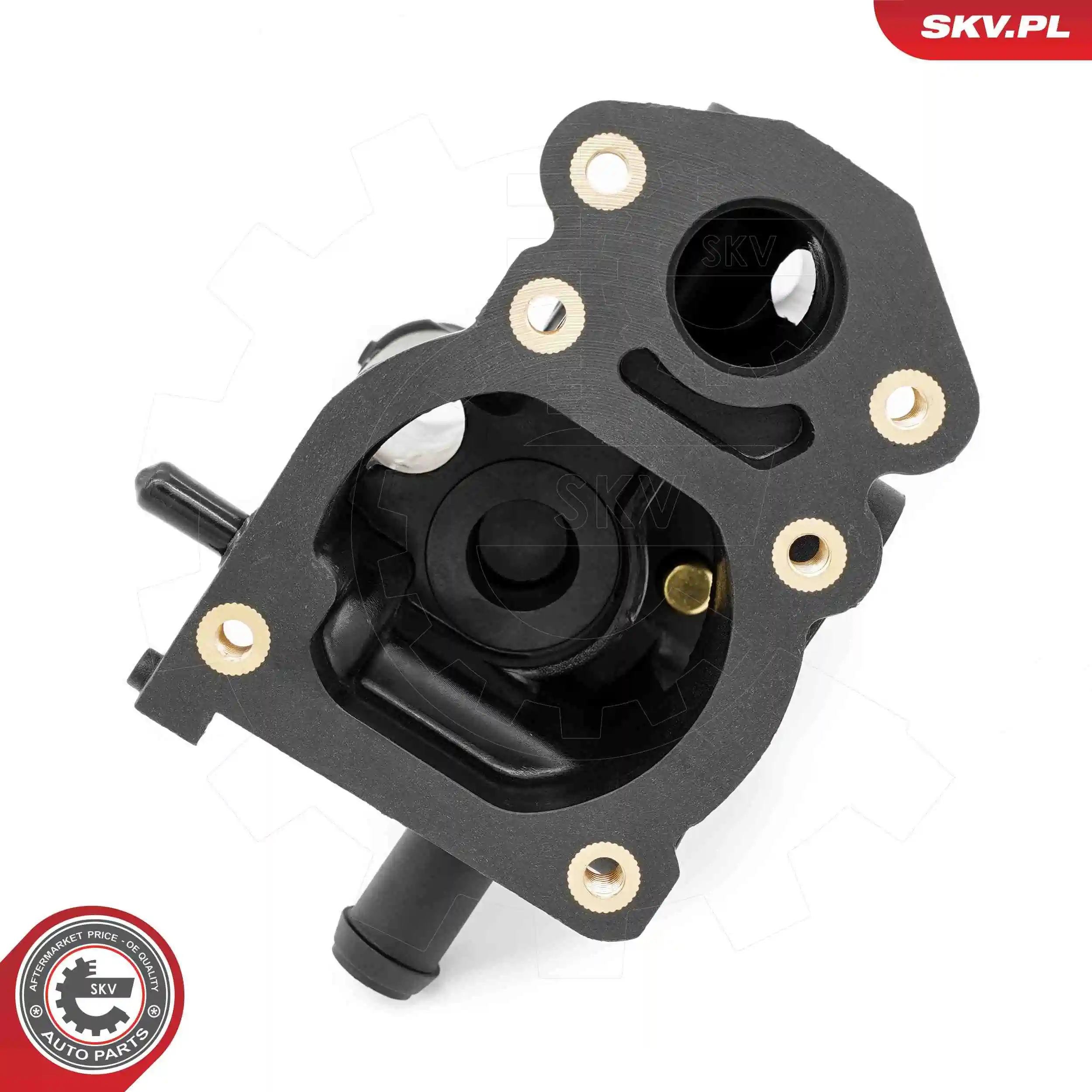 Термостат в зборі SKV 20SKV225