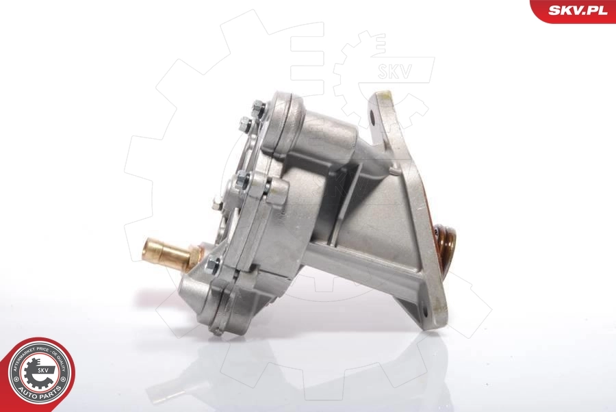 Насос вакуумний SKV 18SKV005 ціна, від 85.87 USD