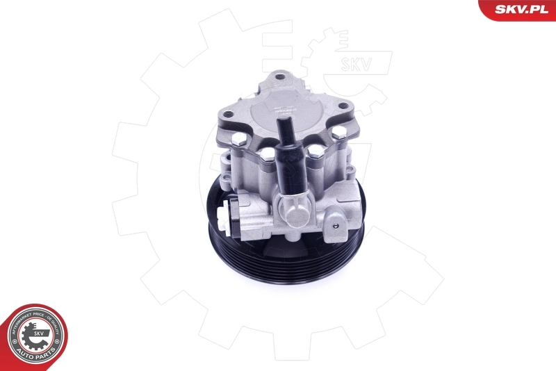 10SKV241 SKV Насос гідропідсилювача