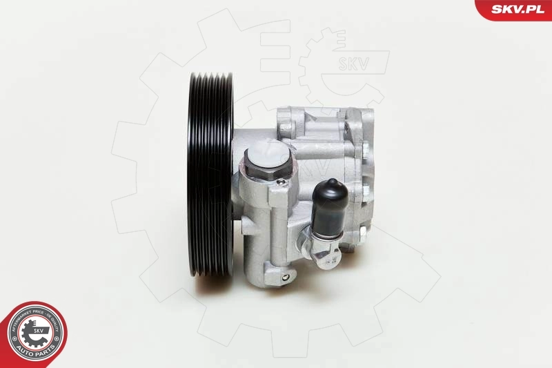 Купити 10SKV009 SKV Насос гідравліки