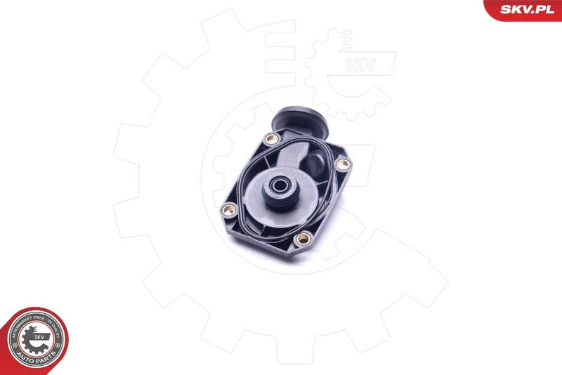 Клапан картерних газів SKV 31SKV074 ціна, від 21.99 USD