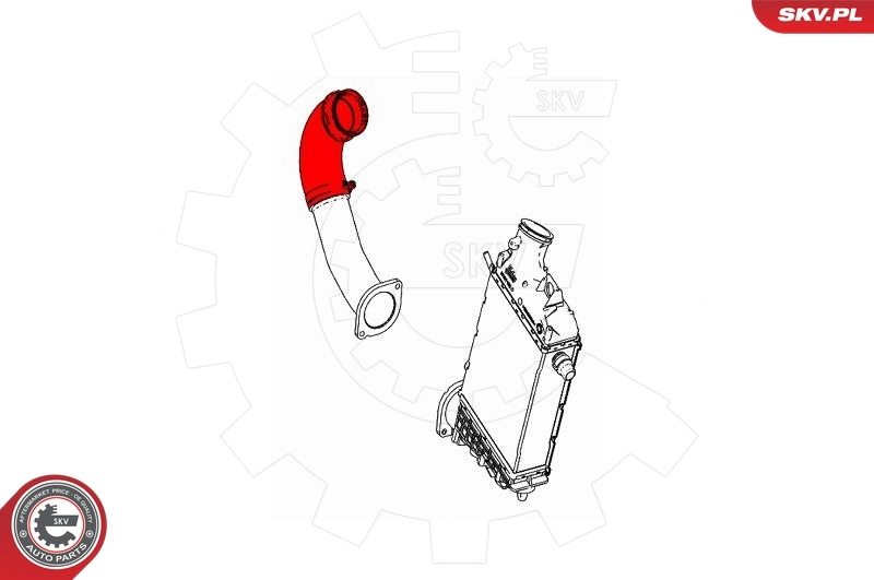 Купити 43SKV239 SKV 