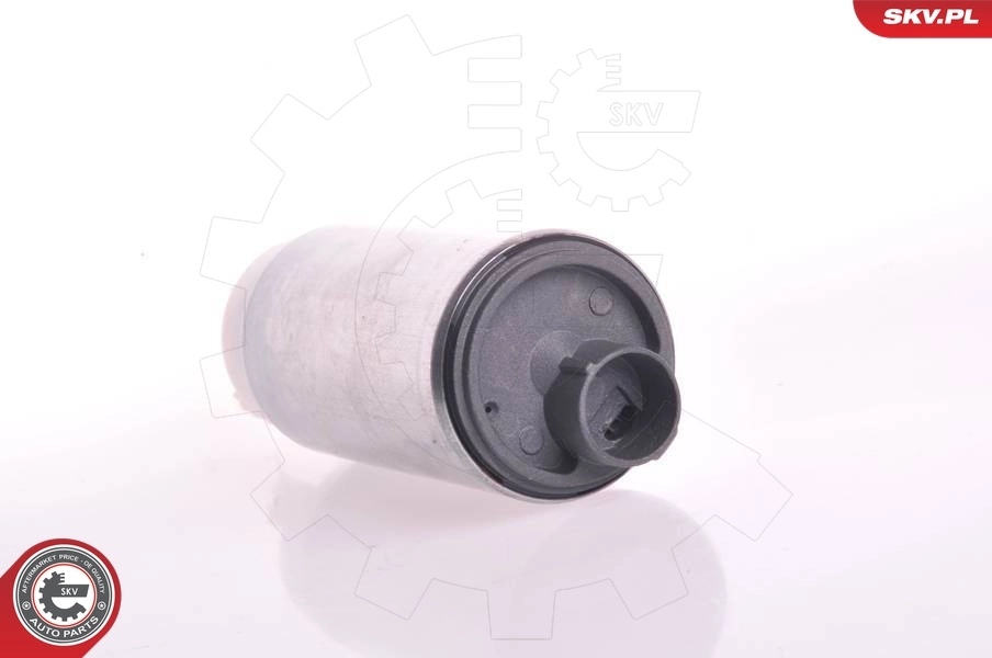 TPS0174 TPS Електробензонасос