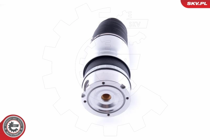 Пневморессора задня SKV 58SKV035 ціна, від 211.95 USD