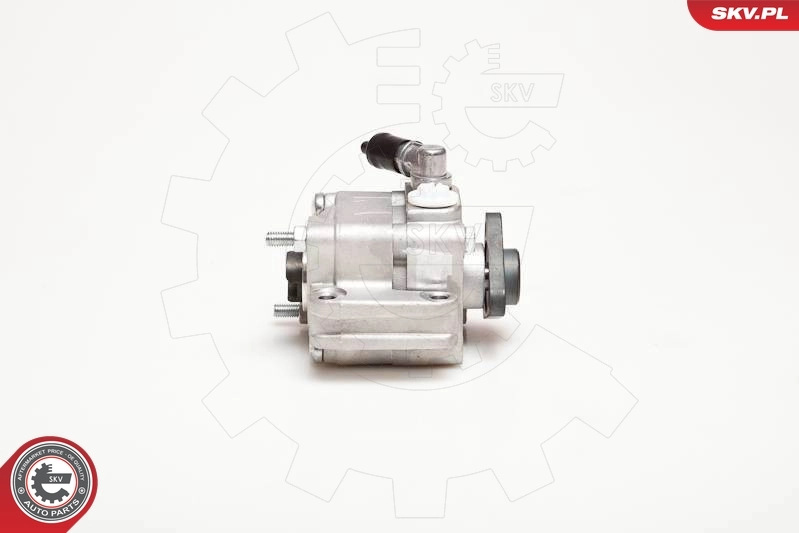 Насос ГУР 10SKV088 SKV