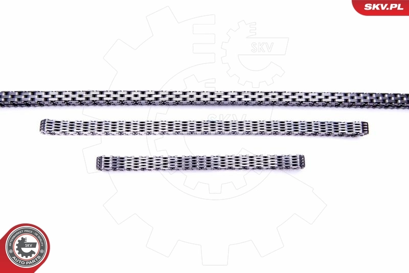Ланцюг ГРМ, комплект SKV 21SKV163 ціна, від 12.71 USD