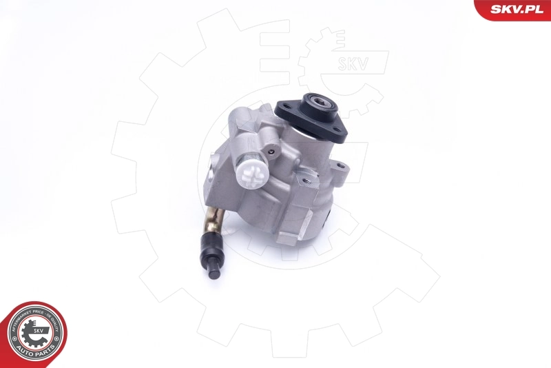 10SKV278 SKV Насос гідропідсилювача