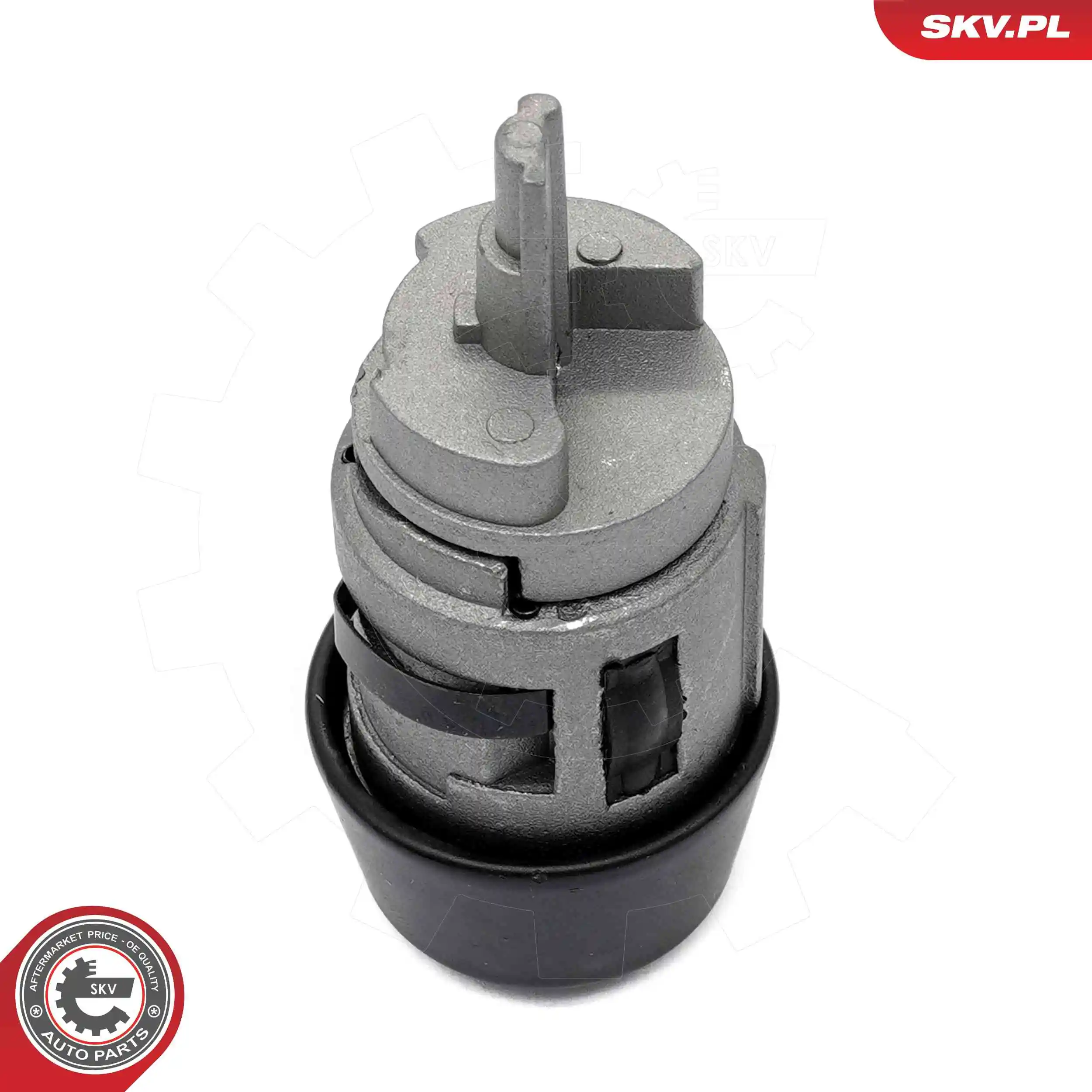Личинка замка запалювання SKV 65SKV504 ціна, від 6.95 USD