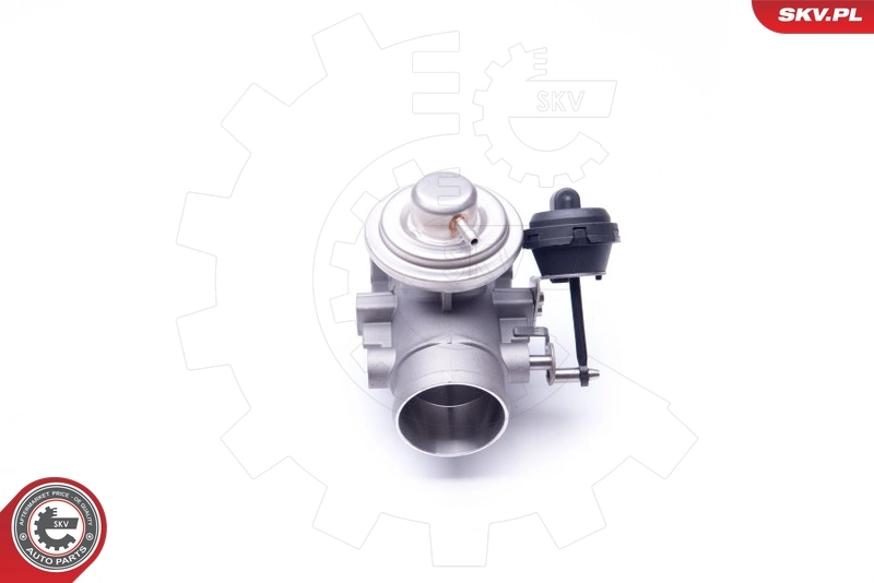 14SKV107 SKV Клапан рециркуляції відпрацьованих газів EGR