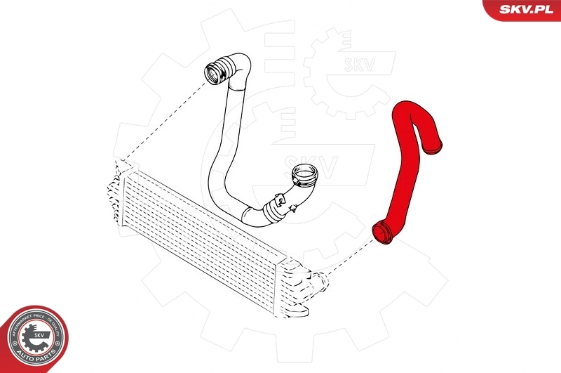 Трубка, що нагнітається SKV 24SKV987 ціна, від 20.35 USD