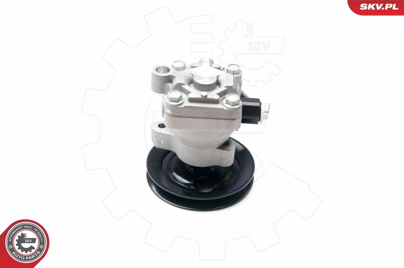 Купити 10SKV204 SKV Насос гідравліки