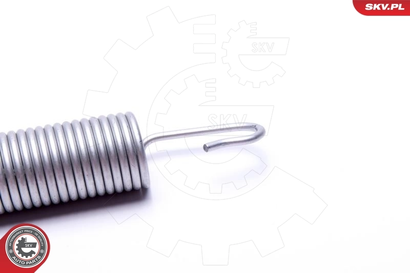 Амортизатор двері задньої SKV 52SKV565 ціна, від 12.53 USD