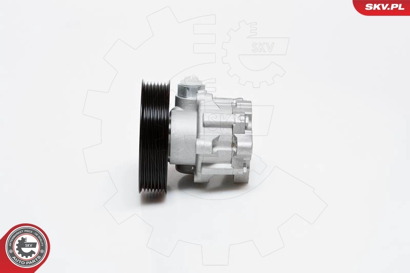 Купити 10SKV024 SKV Насос гідравліки