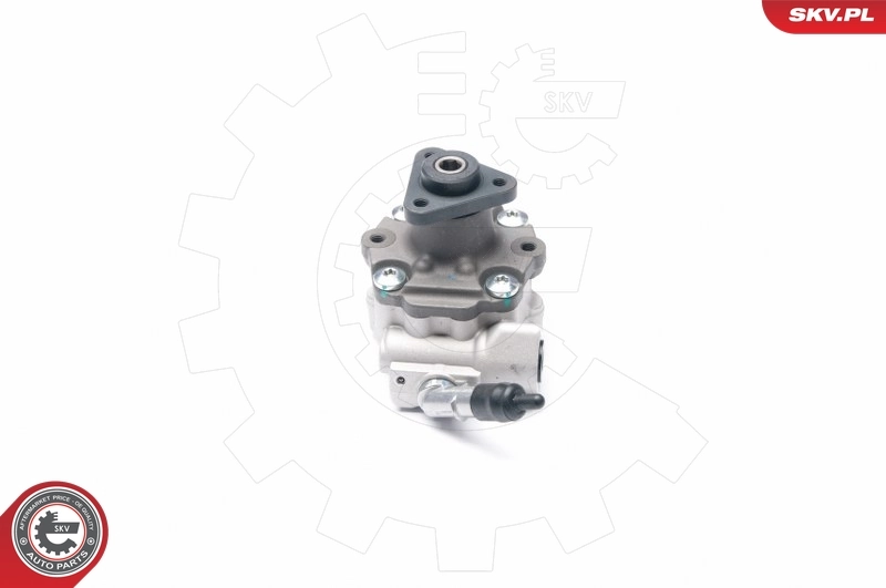Насос ГУР 10SKV187 SKV
