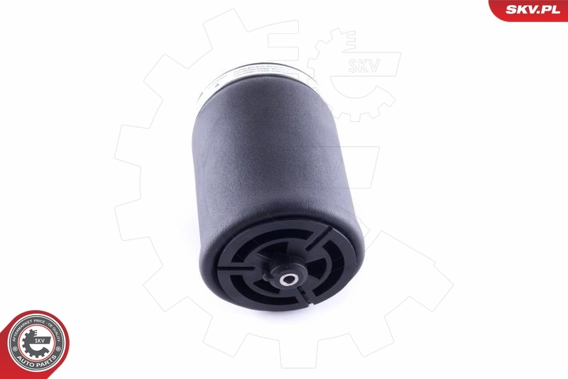Пневморессора задня SKV 58SKV002 ціна, від 69.55 USD