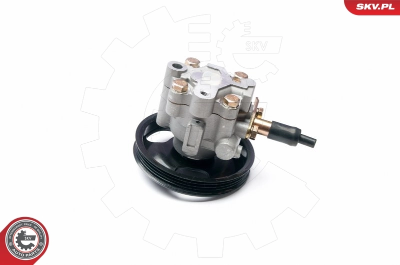 Насос ГУР 10SKV228 SKV