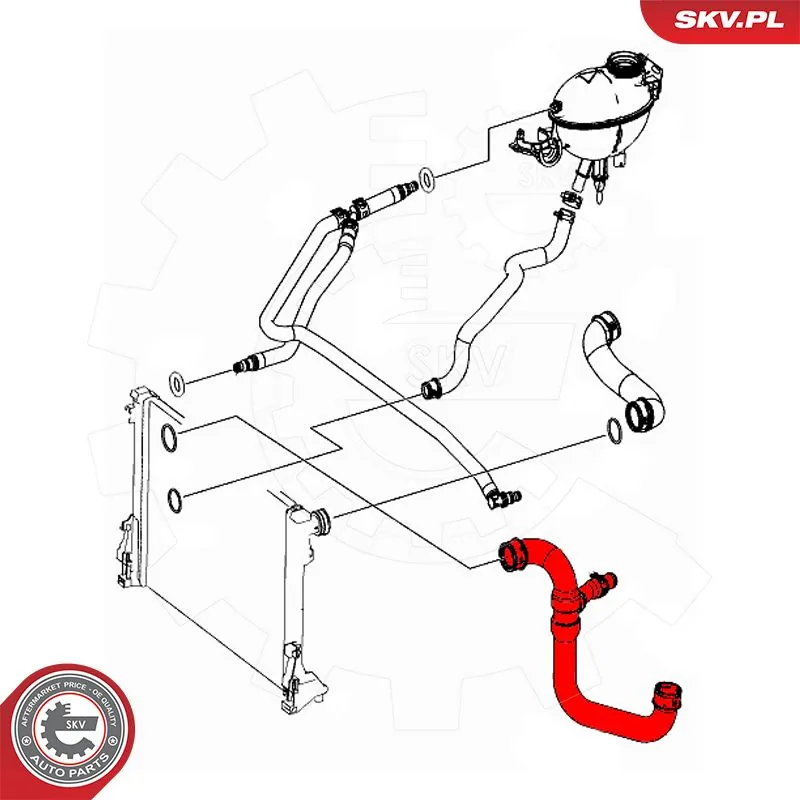Купити 43SKV624 SKV Шланг/патрубок радіатора охолодження, нижній