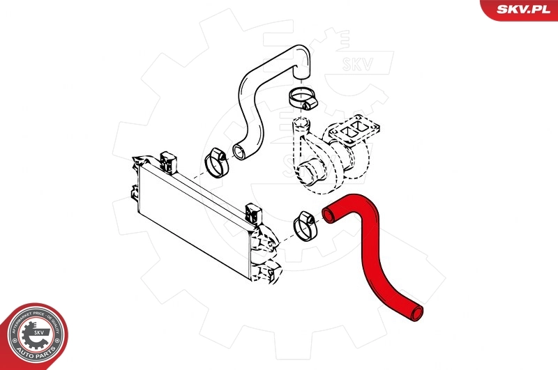  SKV 43SKV017 ціна, від 74.11 USD