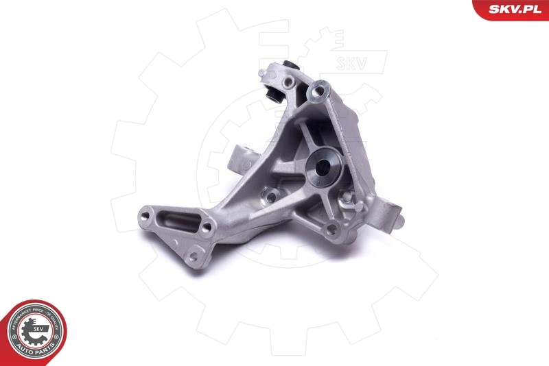 Кулак поворотний лівий SKV 47SKV431 ціна, від 22.10 USD
