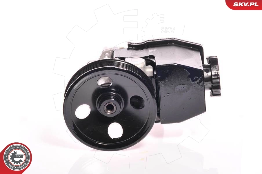 Купити 10SKV139 SKV Насос гідравліки