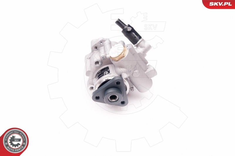 Купити 10SKV239 SKV Насос гідравліки