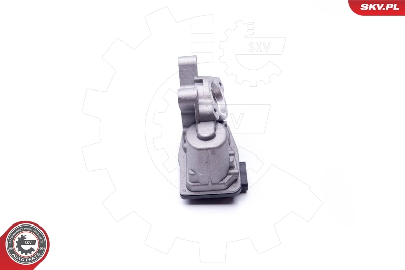 Клапан EGR SKV 14SKV103 ціна, від 42.82 USD