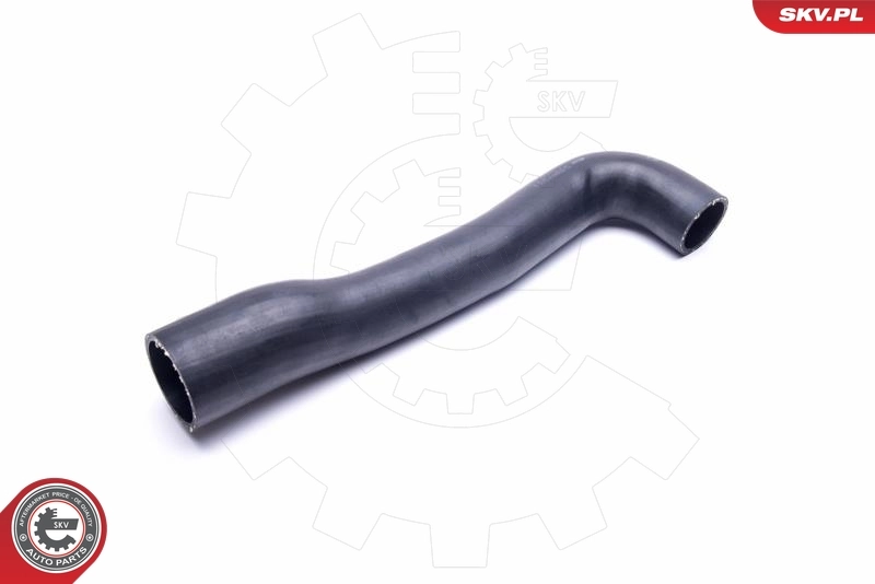  SKV 54SKV021 ціна, від 33.25 USD