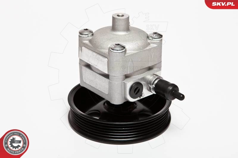Купити 10SKV033 SKV Насос гідравліки
