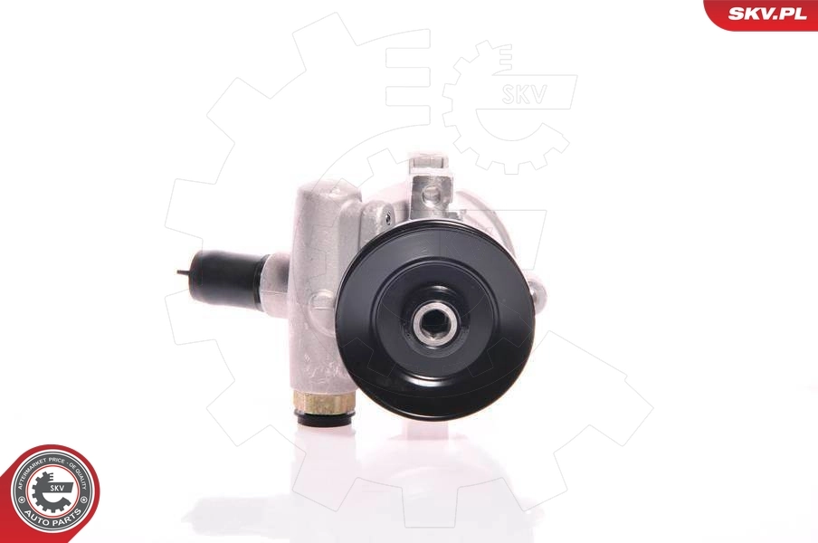 Купити 10SKV118 SKV Насос гідравліки