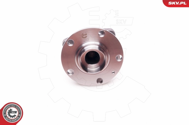 Маточини задніх коліс SKV 29SKV110 ціна, від 43.80 USD