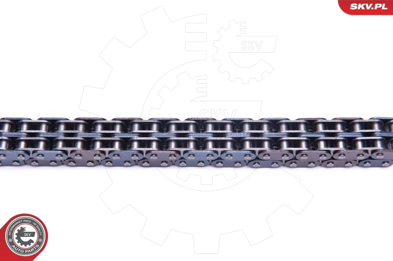 Ланцюг ГРМ, комплект SKV 21SKV218 ціна, від 21.44 USD