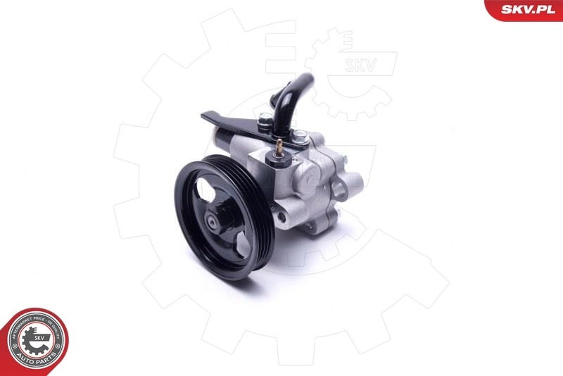 Купити 10SKV301 SKV Насос гідравліки