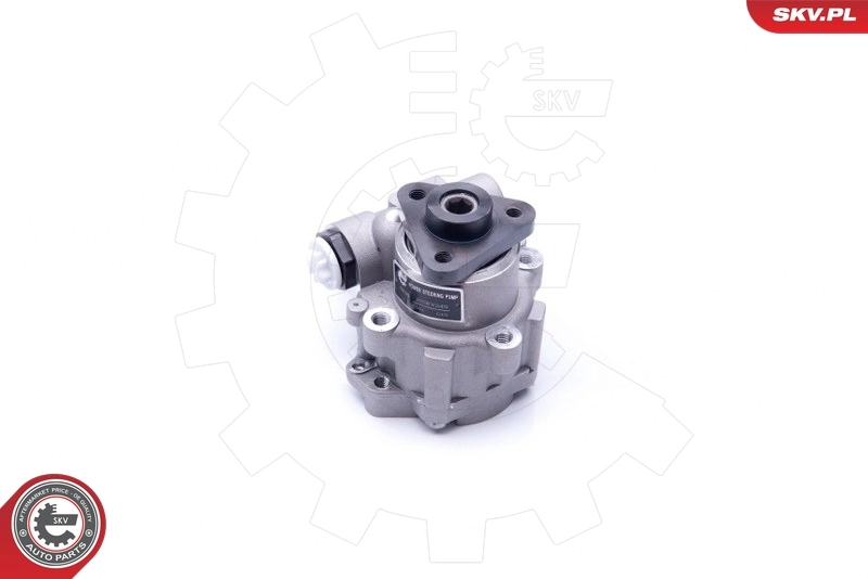 10SKV249 SKV Насос гідропідсилювача