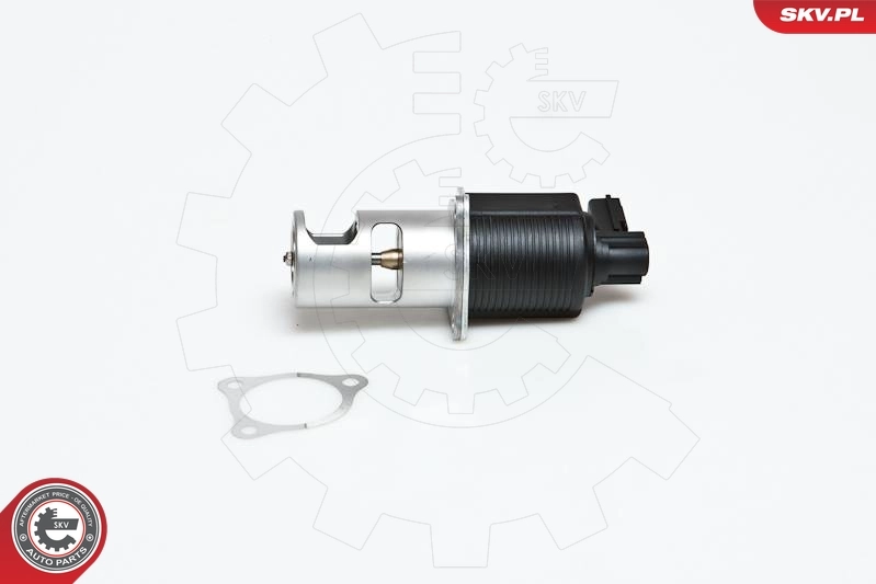 Клапан EGR SKV 14SKV032 ціна, від 49.82 USD