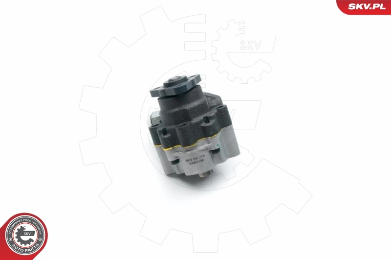 Купити 10SKV190 SKV Насос гідравліки