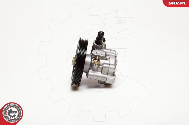 Насос ГУР 10SKV059 SKV