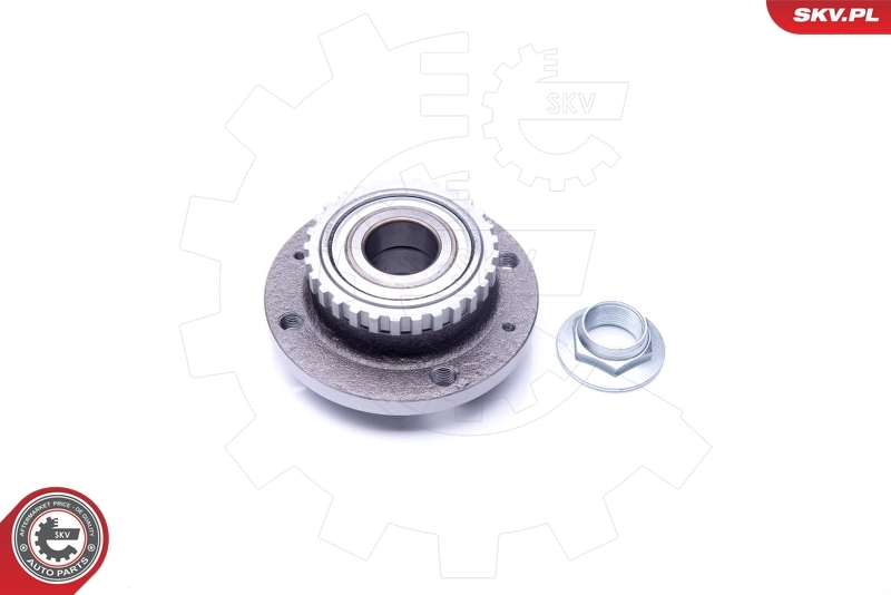 Маточини задніх коліс SKV 29SKV201 ціна, від 33.45 USD