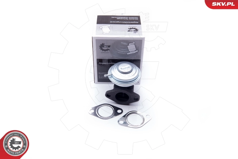 Клапан EGR SKV 14SKV183 ціна, від 14.35 USD