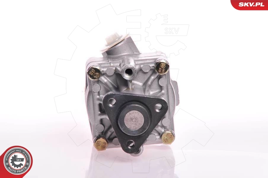 10SKV125 SKV Насос гідропідсилювача