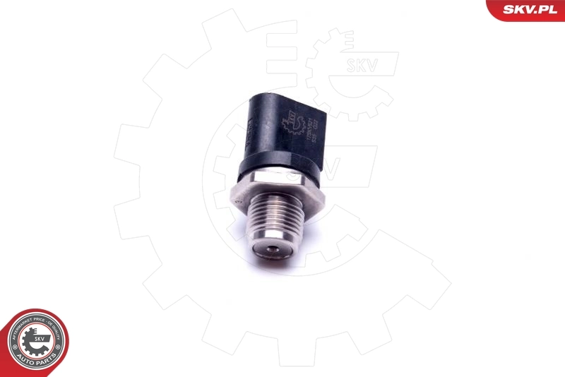 17SKV621 SKV Манометри