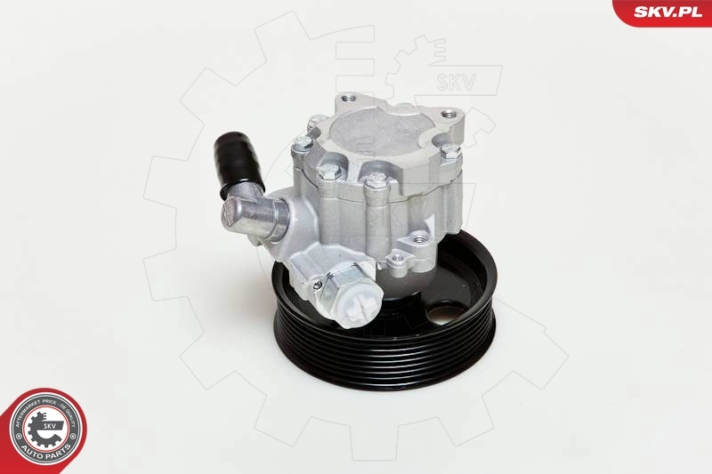 Насос ГУР 10SKV039 SKV