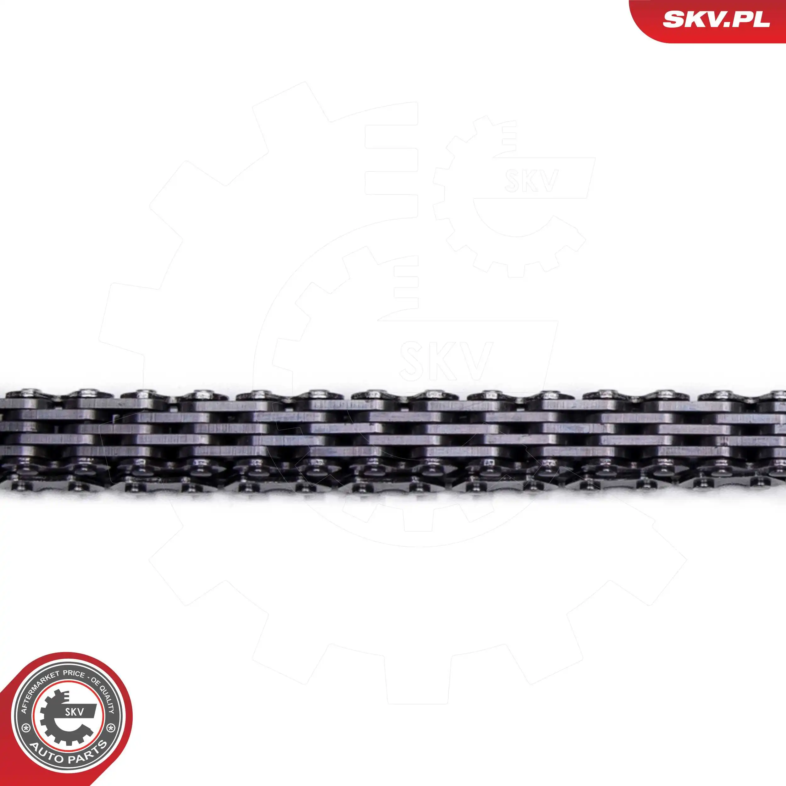  SKV 21SKV253 ціна, від 65.30 USD