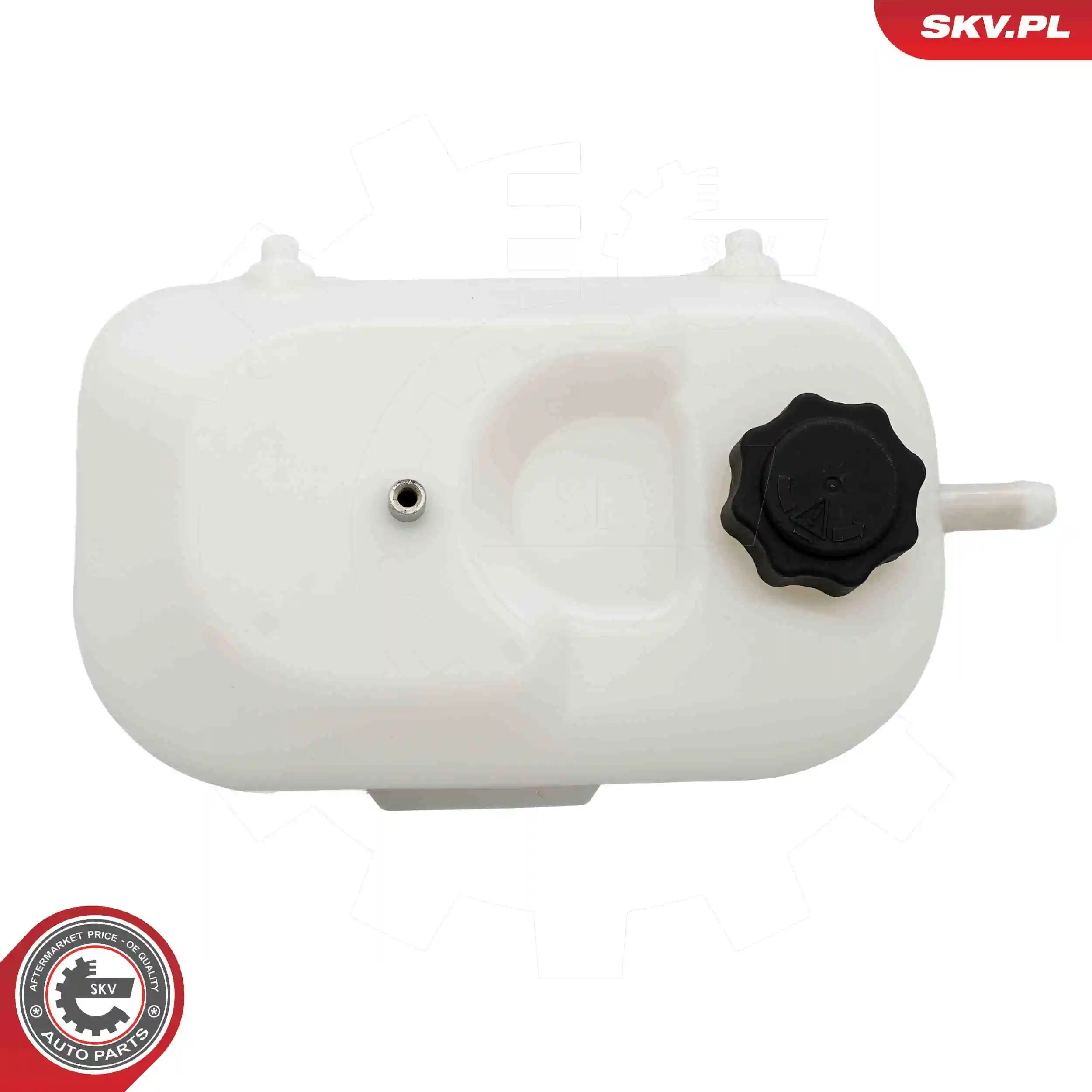 Купити Бачок системи охолодження Renault 19 I B53, C53