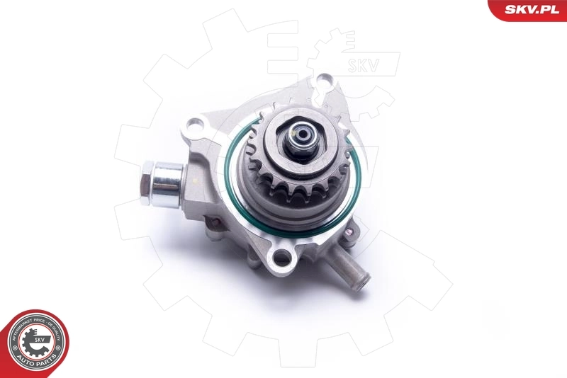 18SKV025 SKV Насос вакуумний